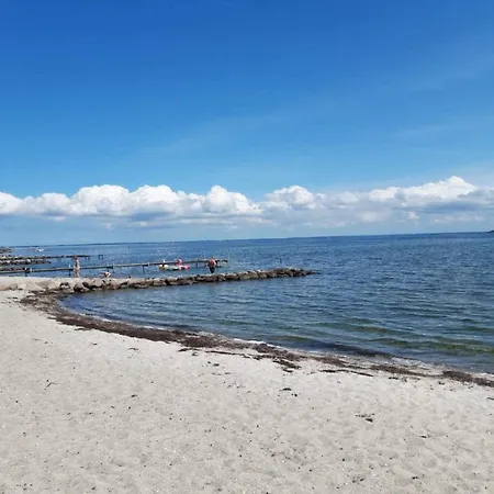 6 Person In 하일스