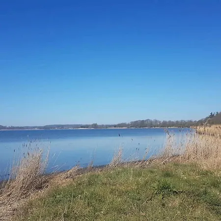 6 Person In * 하일스